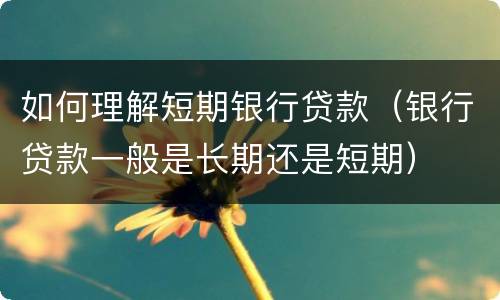 如何理解短期银行贷款（银行贷款一般是长期还是短期）
