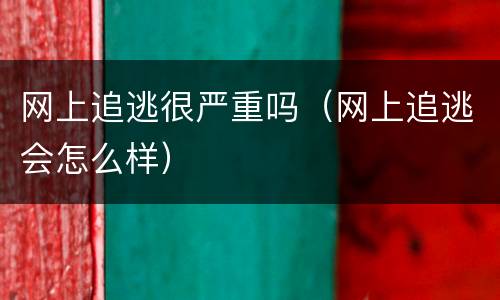 网上追逃很严重吗（网上追逃会怎么样）