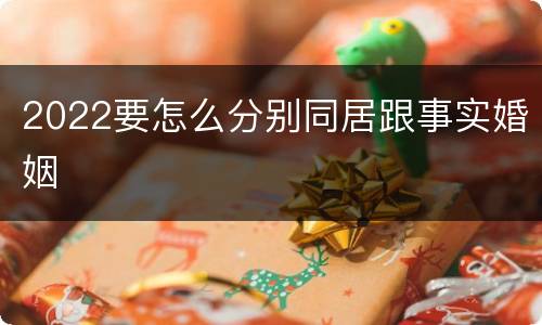 2022要怎么分别同居跟事实婚姻