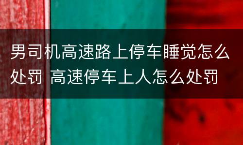 男司机高速路上停车睡觉怎么处罚 高速停车上人怎么处罚