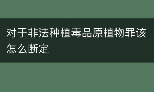 对于非法种植毒品原植物罪该怎么断定