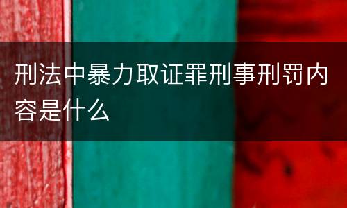 刑法中暴力取证罪刑事刑罚内容是什么