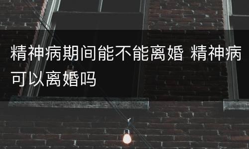 精神病期间能不能离婚 精神病可以离婚吗