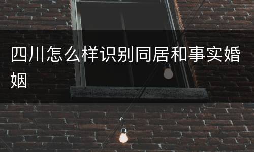 四川怎么样识别同居和事实婚姻