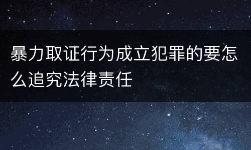 暴力取证行为成立犯罪的要怎么追究法律责任