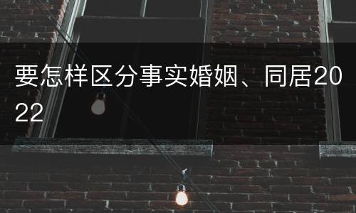 要怎样区分事实婚姻、同居2022