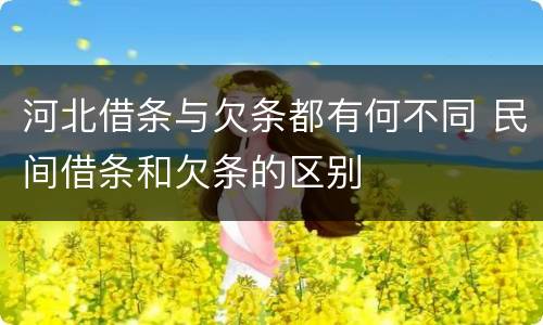 河北借条与欠条都有何不同 民间借条和欠条的区别