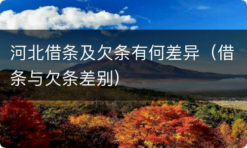 河北借条及欠条有何差异（借条与欠条差别）