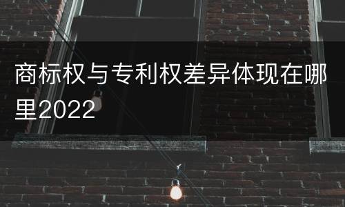 商标权与专利权差异体现在哪里2022