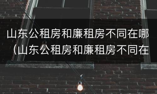 山东公租房和廉租房不同在哪（山东公租房和廉租房不同在哪里）