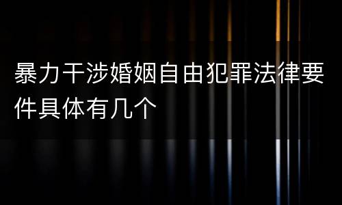 暴力干涉婚姻自由犯罪法律要件具体有几个