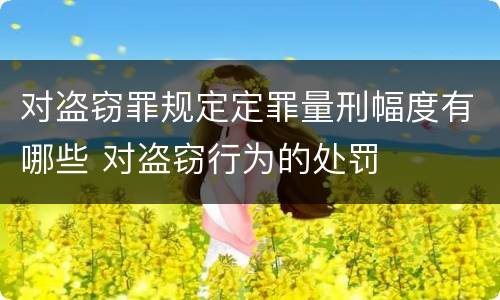对盗窃罪规定定罪量刑幅度有哪些 对盗窃行为的处罚