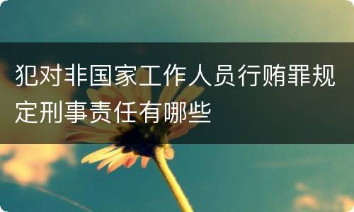 犯对非国家工作人员行贿罪规定刑事责任有哪些