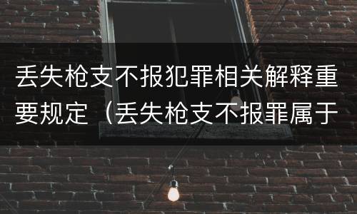 丢失枪支不报犯罪相关解释重要规定（丢失枪支不报罪属于）
