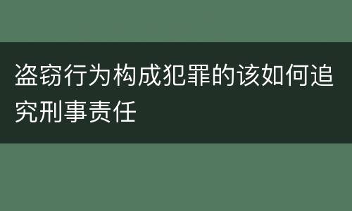 盗窃行为构成犯罪的该如何追究刑事责任