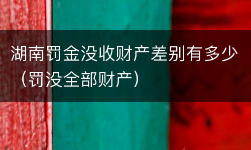 湖南罚金没收财产差别有多少（罚没全部财产）