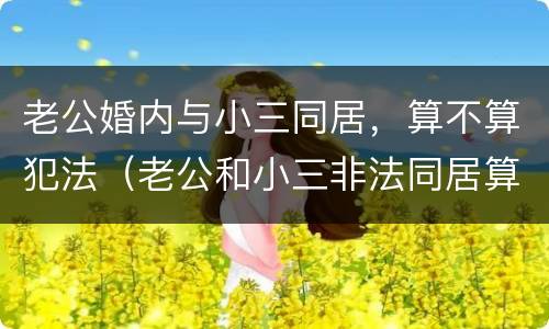 老公婚内与小三同居，算不算犯法（老公和小三非法同居算不算犯法）