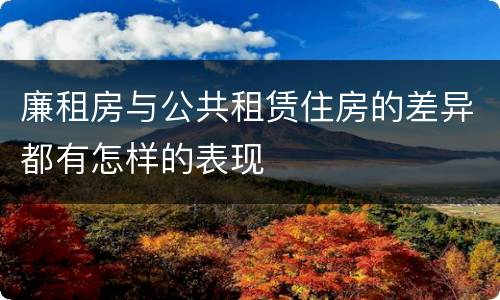 廉租房与公共租赁住房的差异都有怎样的表现
