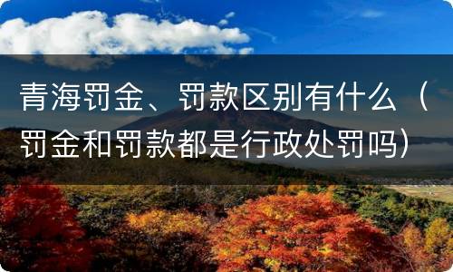 青海罚金、罚款区别有什么（罚金和罚款都是行政处罚吗）