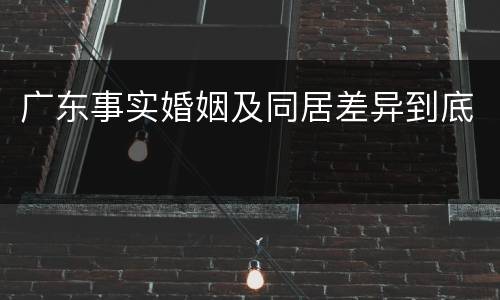 广东事实婚姻及同居差异到底