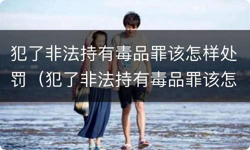 犯了非法持有毒品罪该怎样处罚（犯了非法持有毒品罪该怎样处罚他）