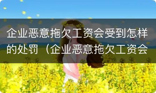 企业恶意拖欠工资会受到怎样的处罚（企业恶意拖欠工资会受到怎样的处罚案例）