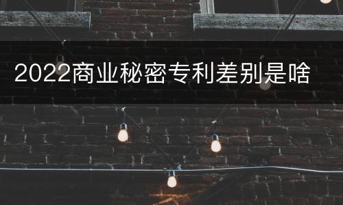 2022商业秘密专利差别是啥