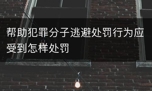 帮助犯罪分子逃避处罚行为应受到怎样处罚