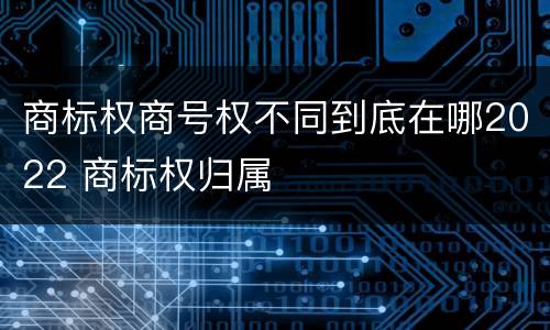 商标权商号权不同到底在哪2022 商标权归属