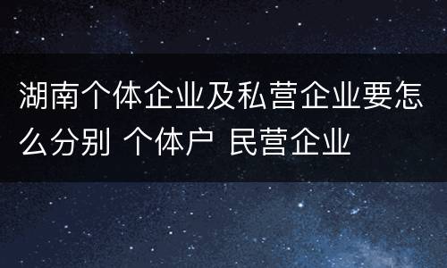 湖南个体企业及私营企业要怎么分别 个体户 民营企业