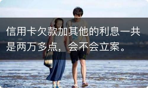 信用卡欠款加其他的利息一共是两万多点，会不会立案。