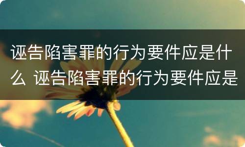诬告陷害罪的行为要件应是什么 诬告陷害罪的行为要件应是什么样的