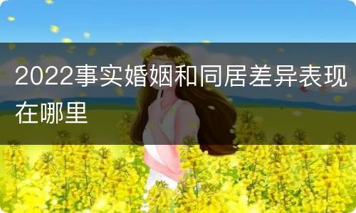 2022事实婚姻和同居差异表现在哪里