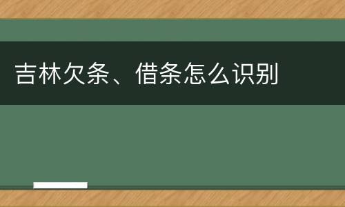 吉林欠条、借条怎么识别