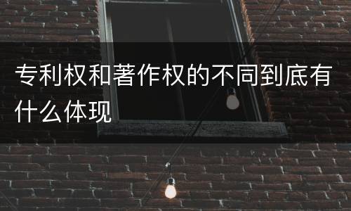 专利权和著作权的不同到底有什么体现