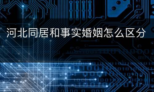河北同居和事实婚姻怎么区分