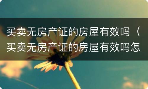买卖无房产证的房屋有效吗（买卖无房产证的房屋有效吗怎么办）