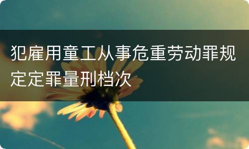 犯雇用童工从事危重劳动罪规定定罪量刑档次