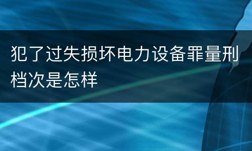 犯了过失损坏电力设备罪量刑档次是怎样