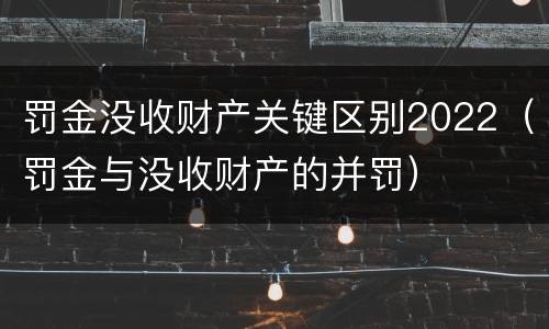 罚金没收财产关键区别2022（罚金与没收财产的并罚）