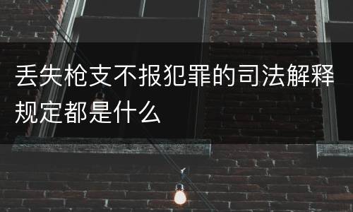 丢失枪支不报犯罪的司法解释规定都是什么
