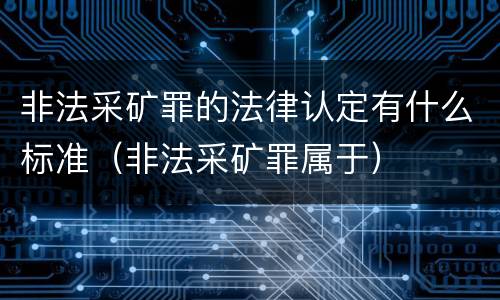 非法采矿罪的法律认定有什么标准（非法采矿罪属于）