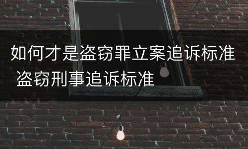 如何才是盗窃罪立案追诉标准 盗窃刑事追诉标准