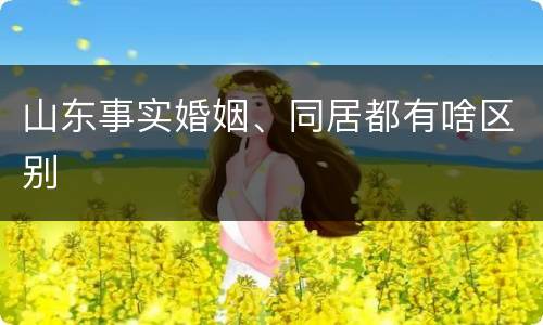 山东事实婚姻、同居都有啥区别