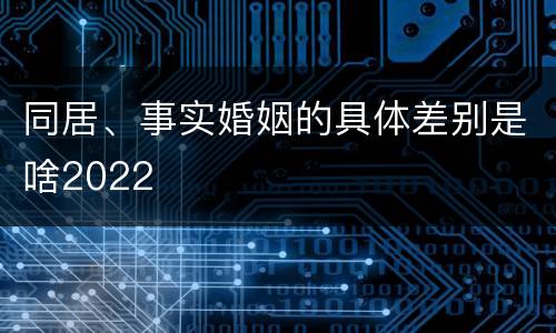 同居、事实婚姻的具体差别是啥2022