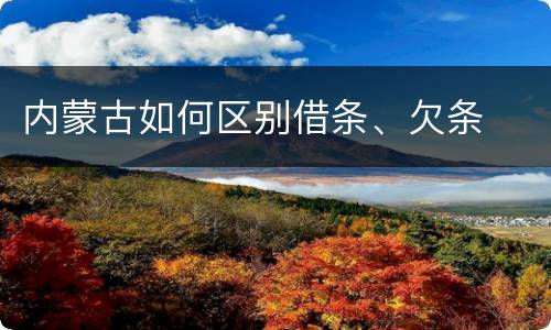 内蒙古如何区别借条、欠条