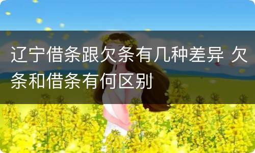 辽宁借条跟欠条有几种差异 欠条和借条有何区别