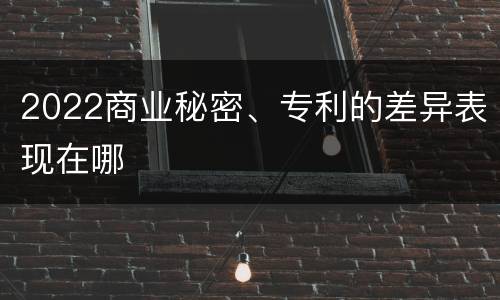 2022商业秘密、专利的差异表现在哪