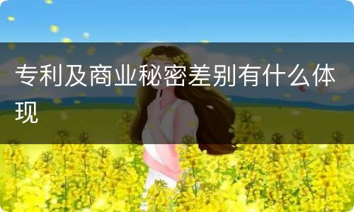 专利及商业秘密差别有什么体现