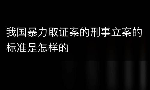 我国暴力取证案的刑事立案的标准是怎样的